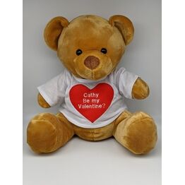 Teddy Bear with Personalised Valentine's Day T Shirt
