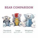 Original Memory Bear additional 2