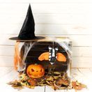 Spooky Bat additional 8