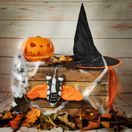 Spooky Bat additional 7