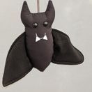 Spooky Bat additional 2