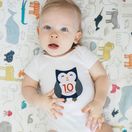 First Year Belly Stickers additional 3