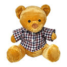 Teddy Bear with Personalised Keepsake Shirt additional 2