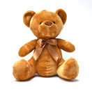 Teddy Bear with Personalised 'Happy Birthday' T Shirt additional 2
