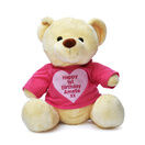 Teddy Bear with Personalised 'Happy Birthday' T Shirt additional 1