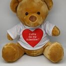 Teddy Bear with Personalised Valentine's Day T Shirt additional 1