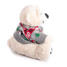 Polar Bear With Keepsake Christmas Jumper additional 5