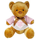Teddy Bear with Personalised Mother's Day T Shirt additional 1
