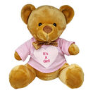 Teddy Bear with Personalised Mother's Day T Shirt additional 3
