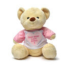 Teddy Bear with Personalised Mother's Day T Shirt additional 2