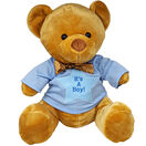 Teddy Bear with Personalised 'It's A Boy!' T Shirt additional 1