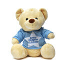 Teddy Bear with Personalised 'It's A Boy!' T Shirt additional 2