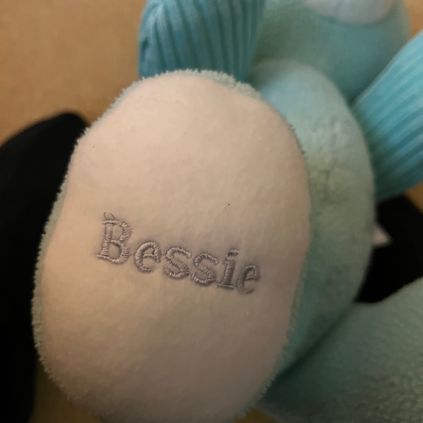 Customer image of Original Memory Bear