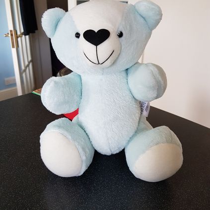 Customer image of Original Memory Bear