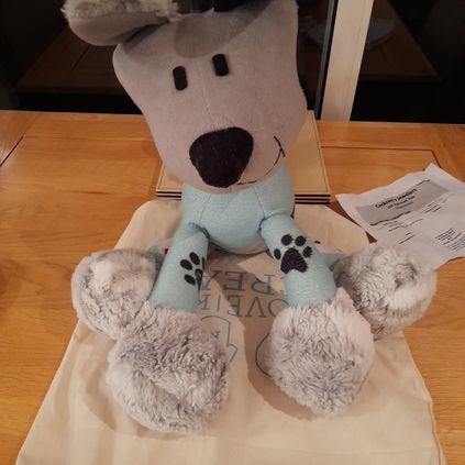 Customer image of Pet Blanket Keepsake Dog