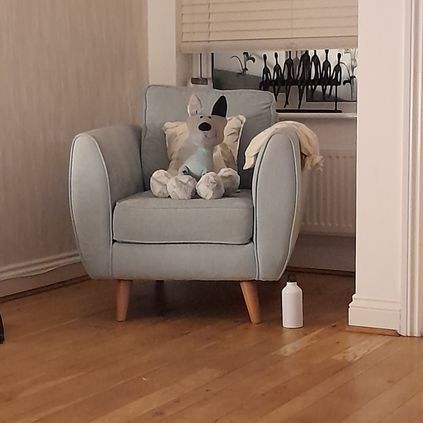 Customer image of Pet Blanket Keepsake Dog