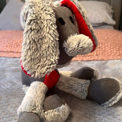 Customer image of Dog