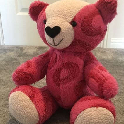 Customer image of Original Memory Bear
