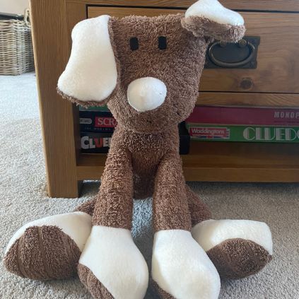 Customer image of Dog
