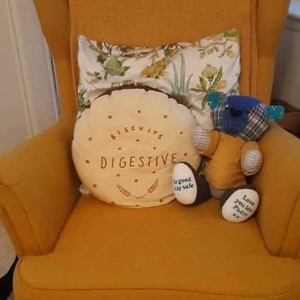 Customer image of Ashes Pocket Memory Bear