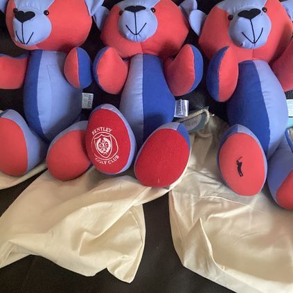 Customer image of Original Memory Bear