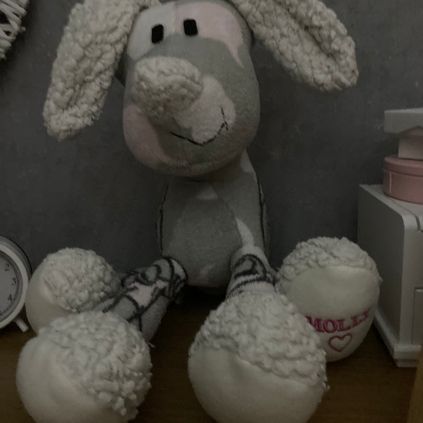 Customer image of Dog