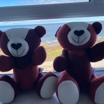 Customer image of Female Cardigan / Jumper Memory Bear