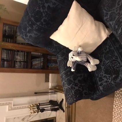 Customer image of Elephant
