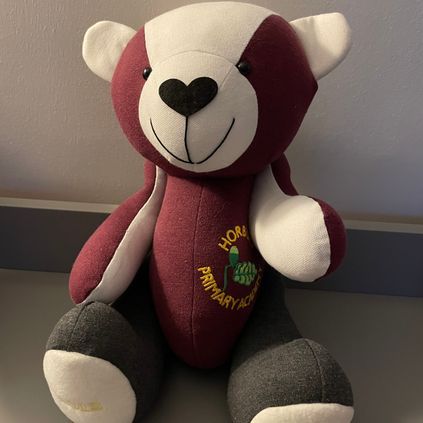 Customer image of School Leavers / Graduation Bear