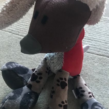 Customer image of Dog