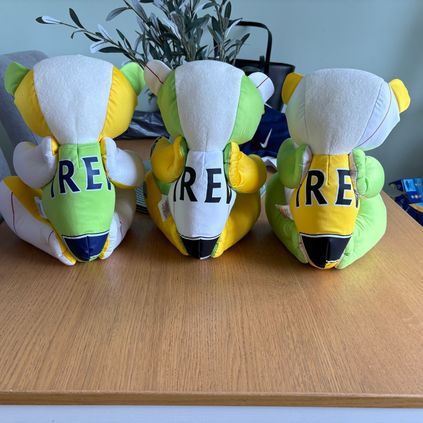 Customer image of Football / Sports Memory Bear