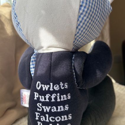 Customer image of School Leavers / Graduation Bear
