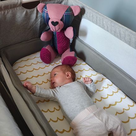 Customer image of Original Memory Bear