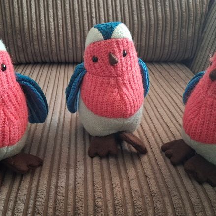 Customer image of Robin