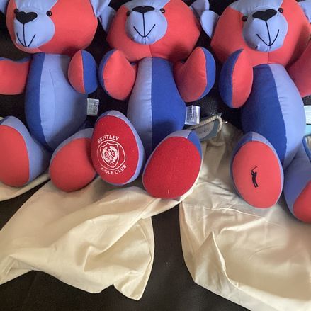 Customer image of Original Memory Bear